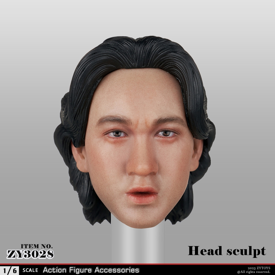 ZYTOYS-1/6 ZY3028 男款头雕模型(图1)