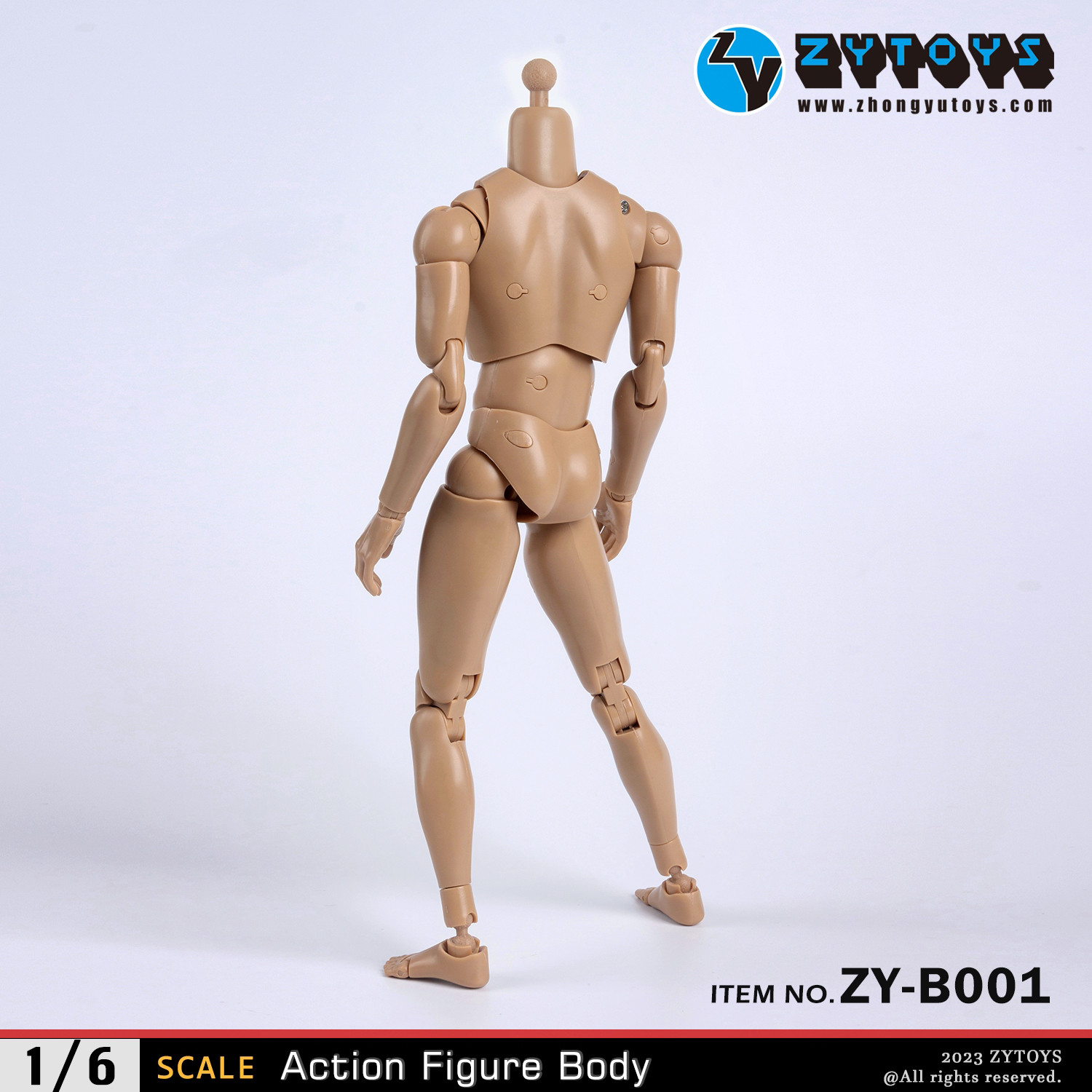 ZYTOYS 1/6 男款 BODY素体 ZY-B001改款版 肤色 窄肩(图6)