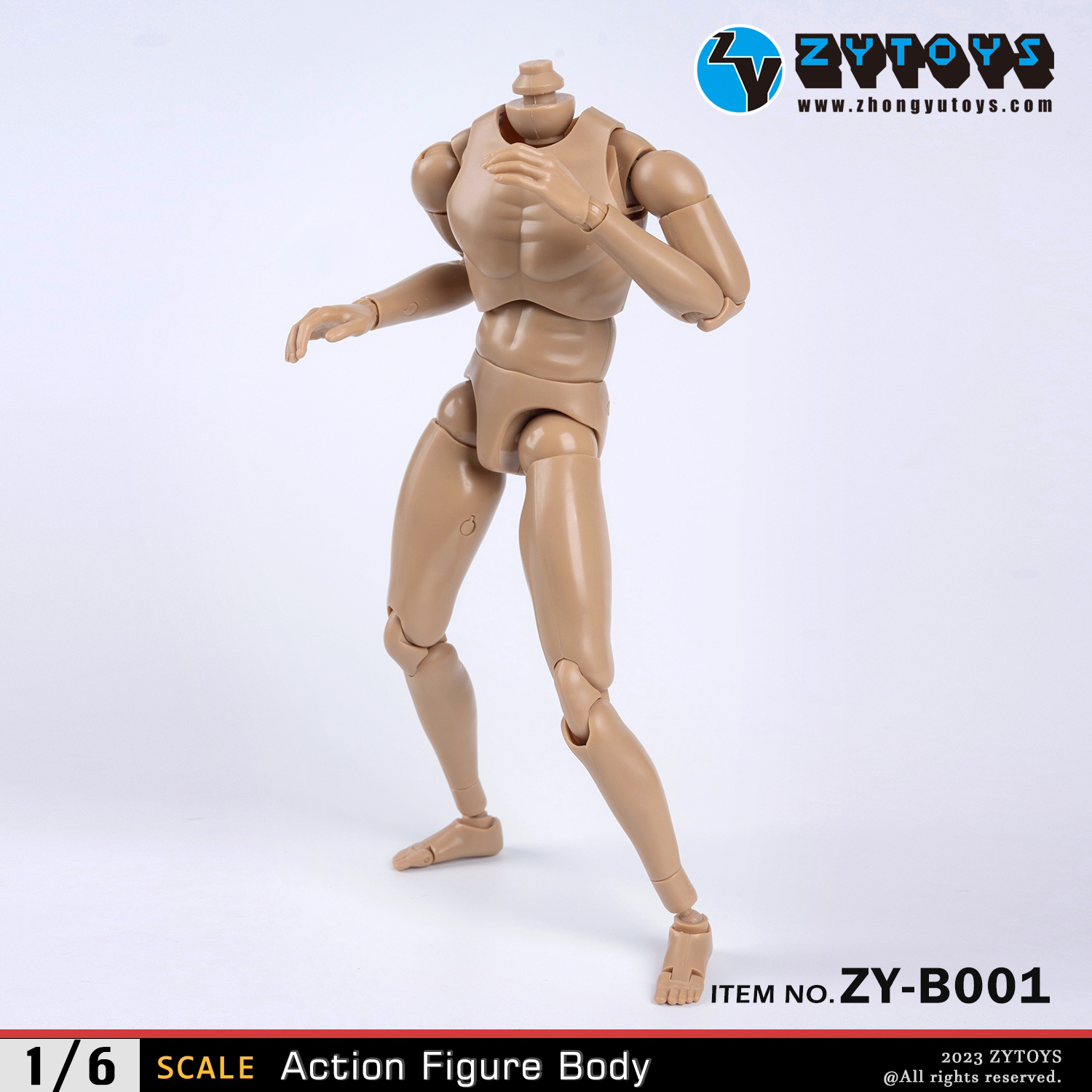 ZYTOYS 1/6 男款 BODY素体 ZY-B001改款版 肤色 窄肩(图3)