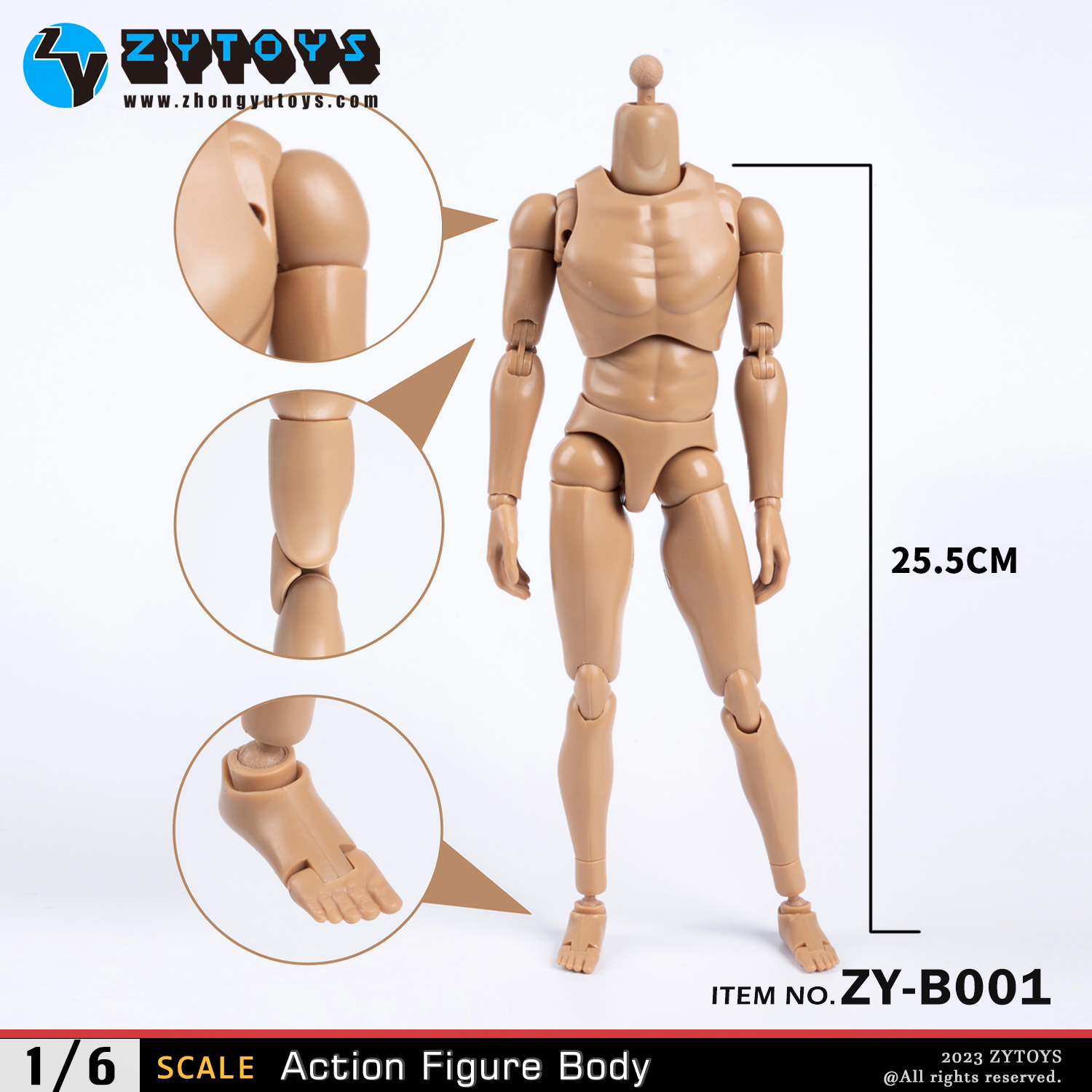 ZYTOYS 1/6 男款 BODY素体 ZY-B001改款版 肤色 窄肩(图7)