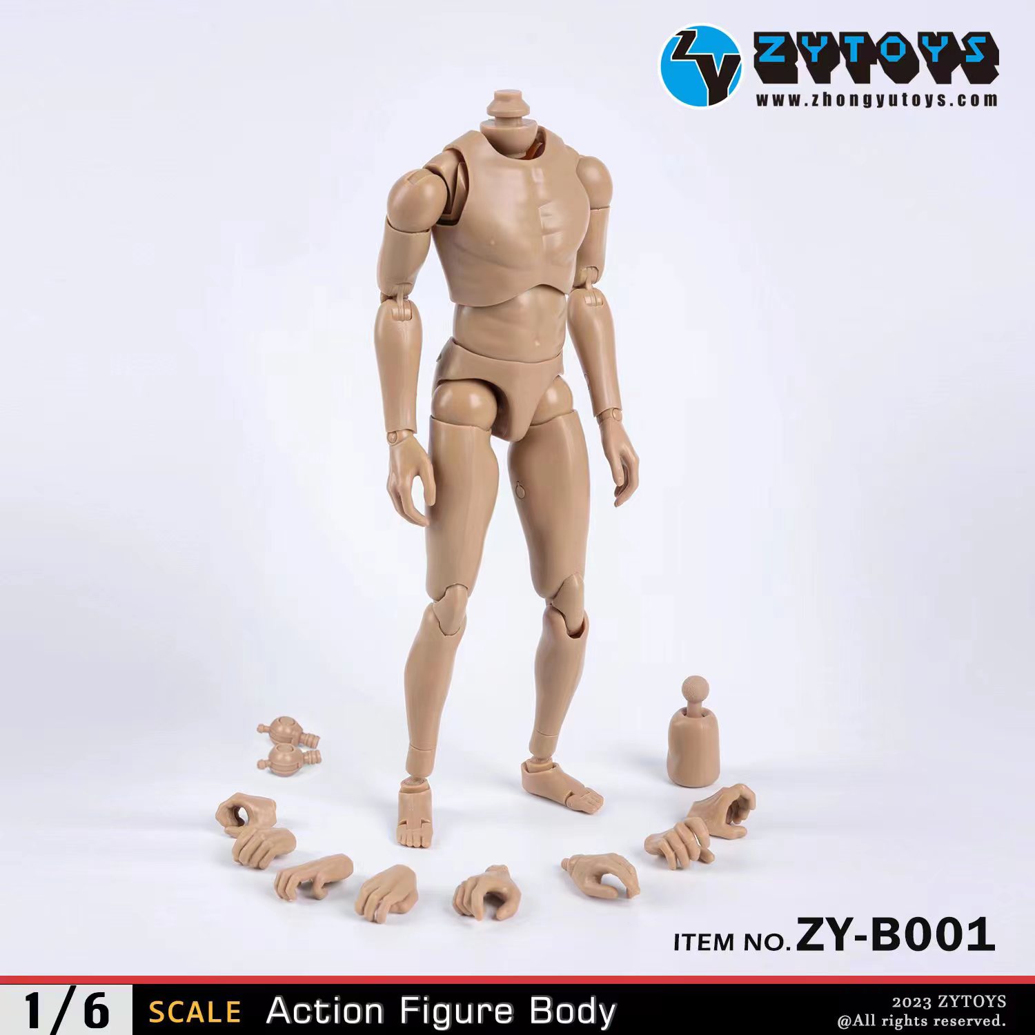 ZYTOYS 1/6 男款 BODY 素体 ZY-B001 改款版 黄肤色 窄肩