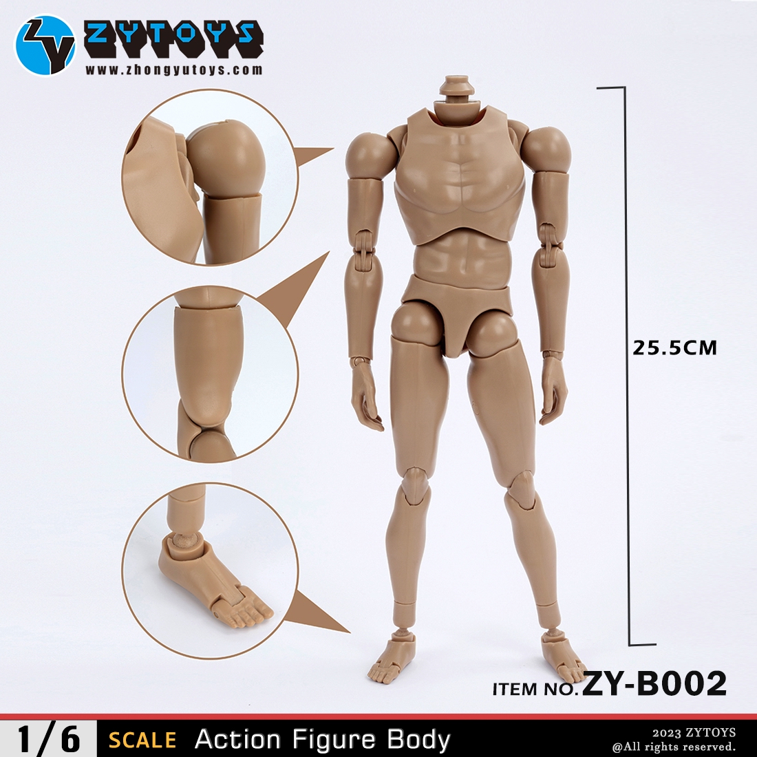 ZYTOYS 1/6 男款 BODY 素体  ZY-B002 改款版 黄肤色 宽肩(图3)