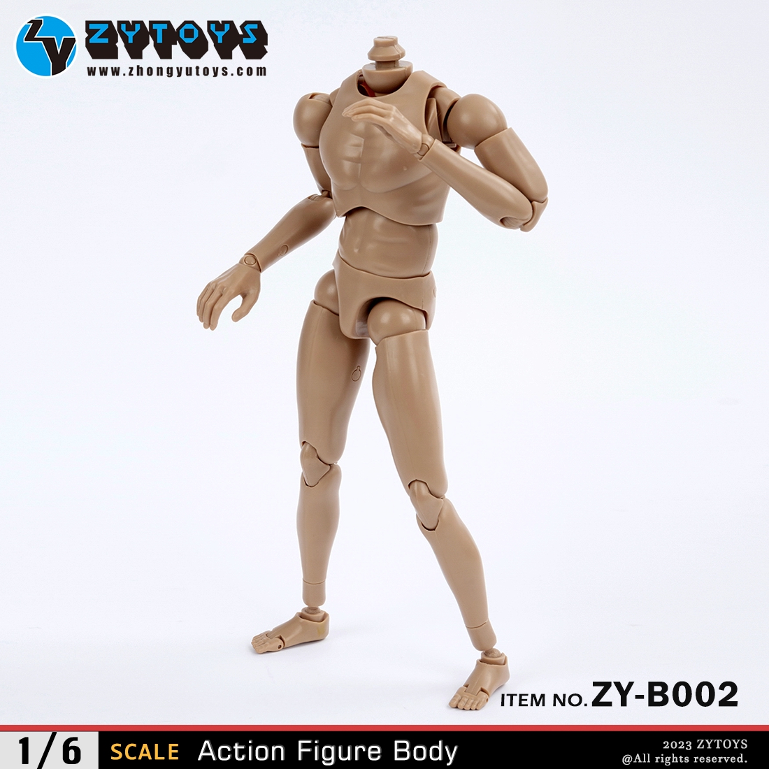 ZYTOYS 1/6 男款 BODY 素体  ZY-B002 改款版 黄肤色 宽肩(图4)