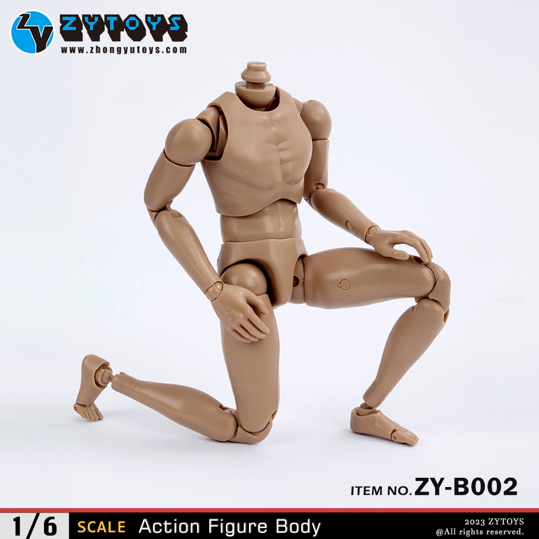 ZYTOYS 1/6 男款 BODY 素体  ZY-B002 改款版 黄肤色 宽肩(图5)