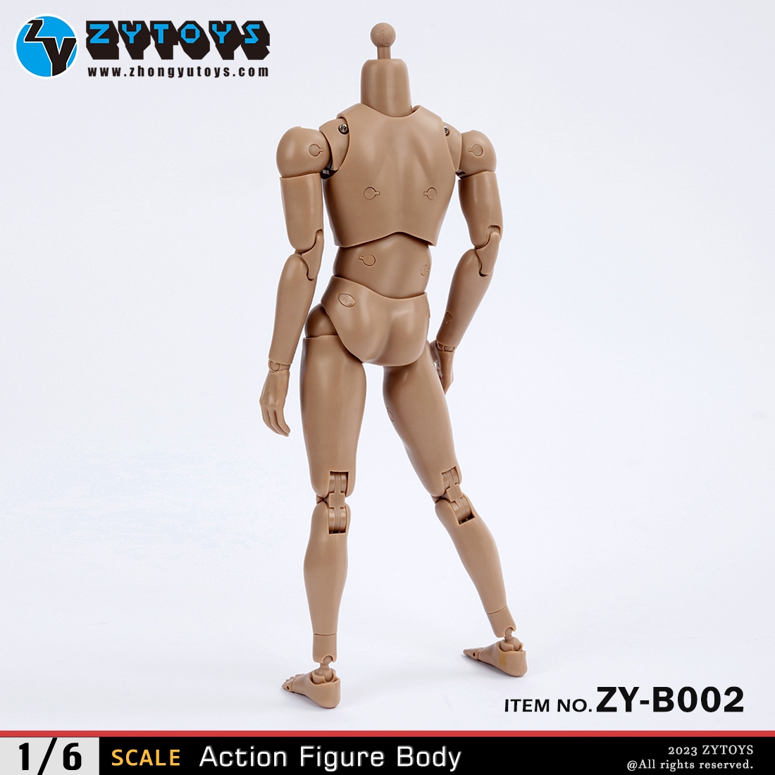 ZYTOYS 1/6 男款 BODY 素体  ZY-B002 改款版 黄肤色 宽肩(图8)