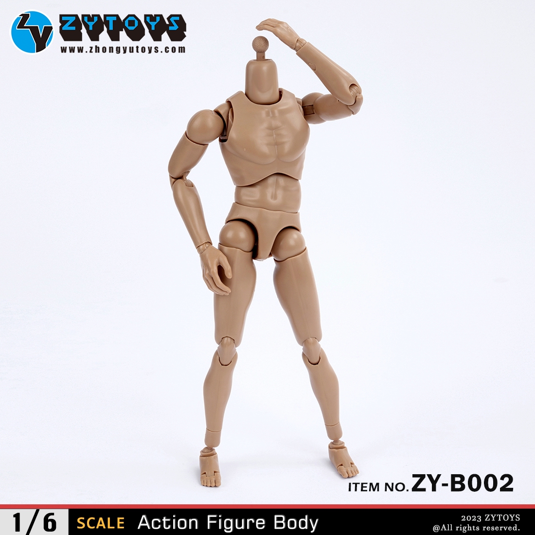 ZYTOYS 1/6 男款 BODY 素体  ZY-B002 改款版 黄肤色 宽肩(图7)