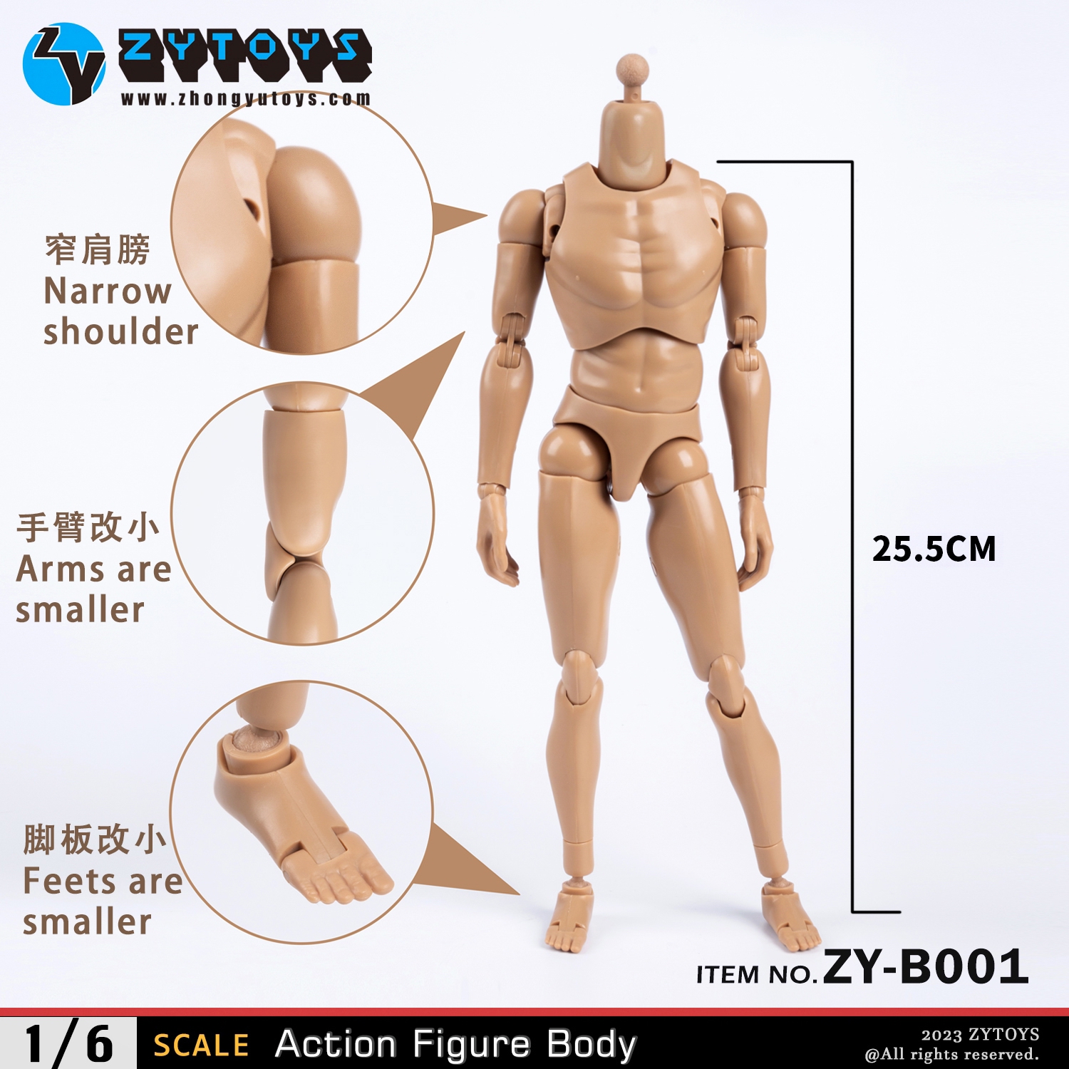 ZYTOYS 1/6 男款 BODY 素体 ZY-B001 改款版 黄肤色 窄肩(图8)