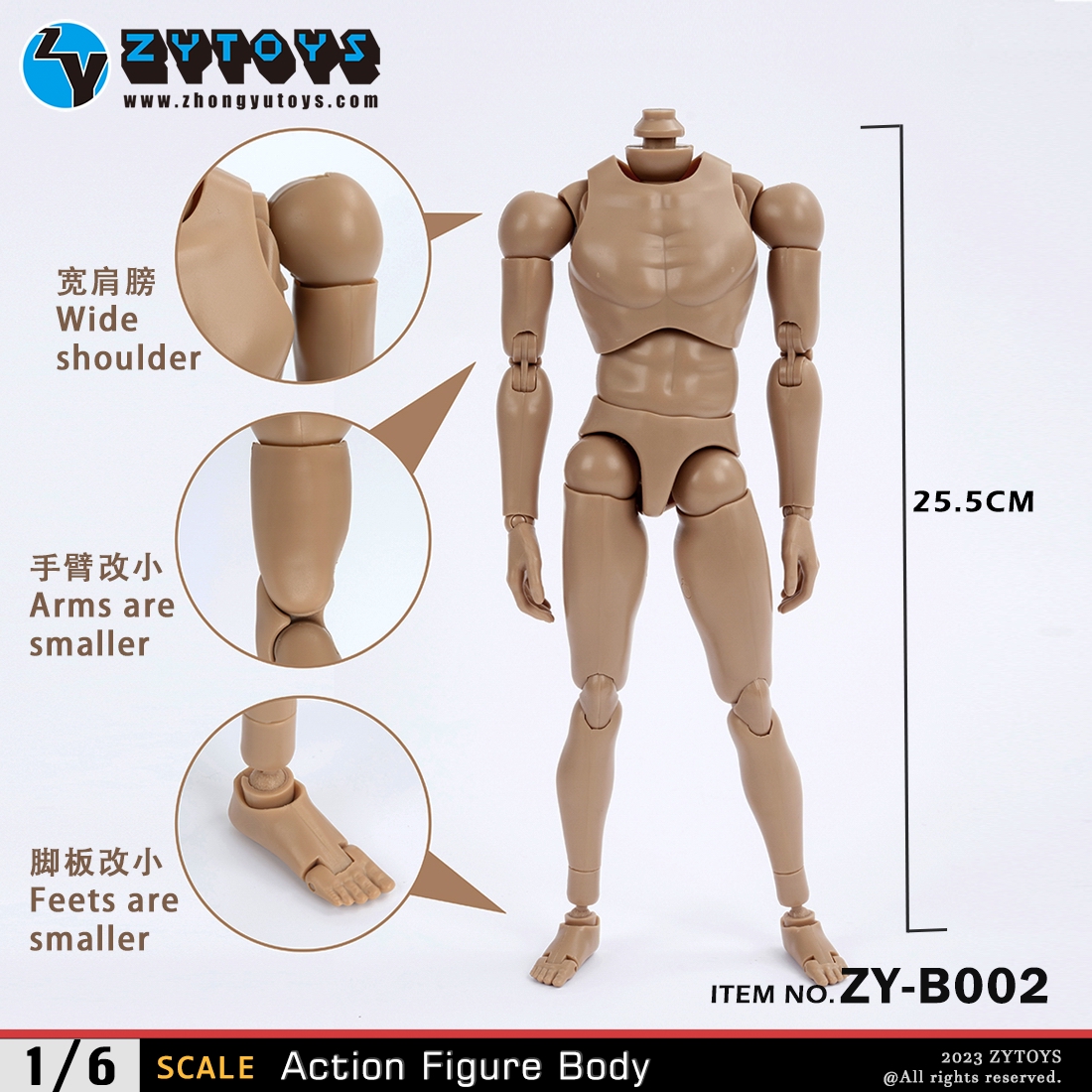 ZYTOYS 1/6 男款 BODY 素体  ZY-B002 改款版 黄肤色 宽肩(图3)