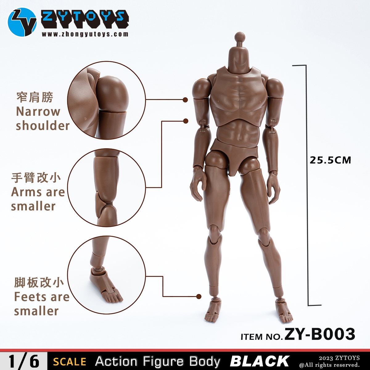 ZYTOYS 1/6 男款 BODY 素体 ZY-B003&004改款版 黑肤色 窄肩&宽肩(图2)