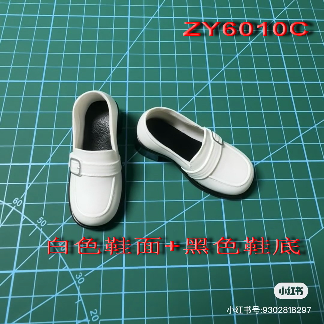 ZY6010C-1.jpg