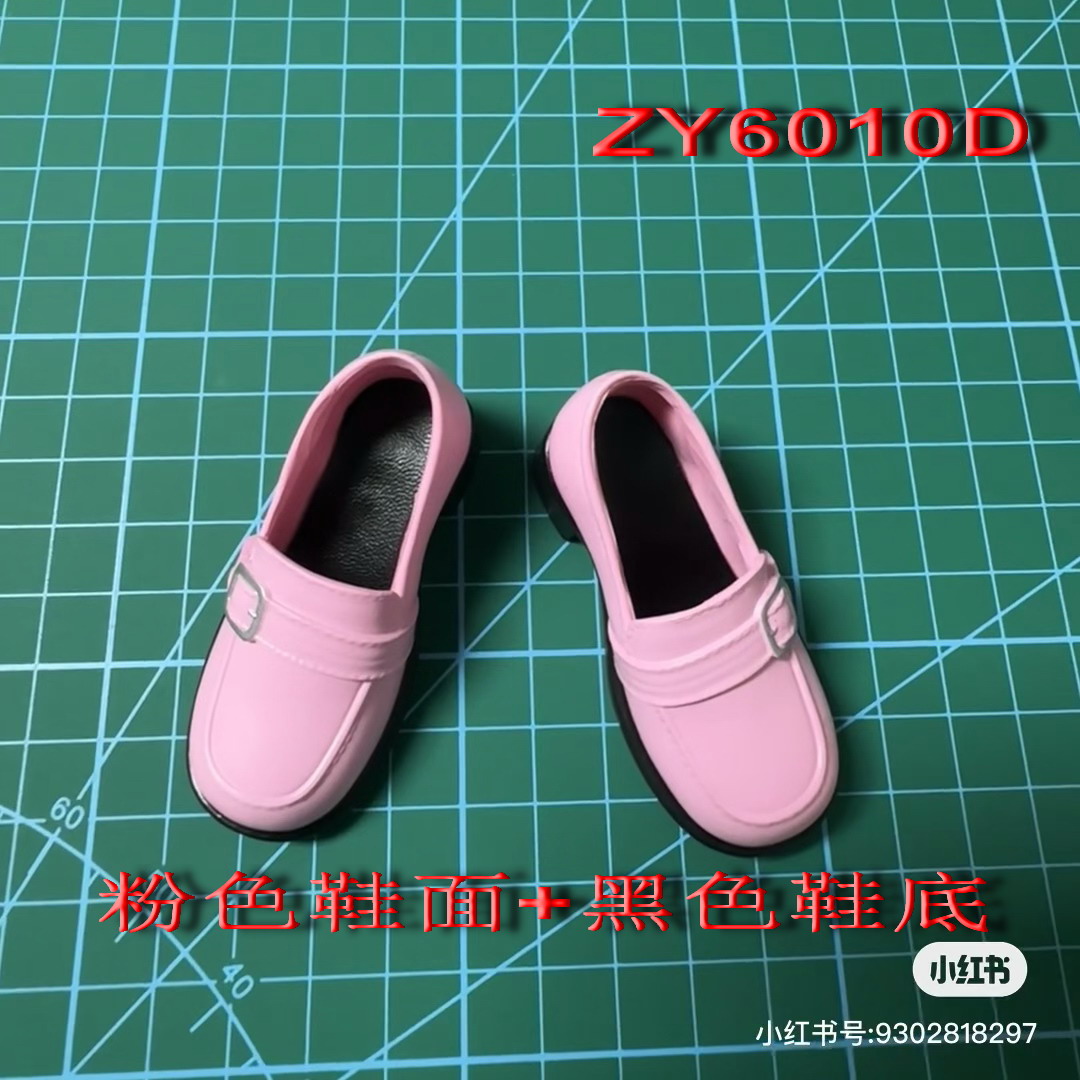 ZY6010D-1.jpg