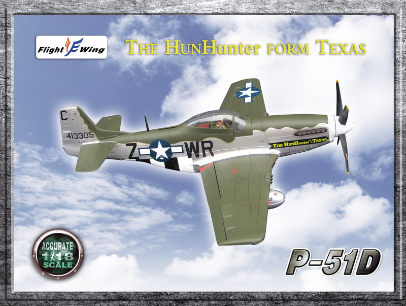 Flight Wing 1/18 P51D P51 战斗机飞机模型(2个颜色)(图20)