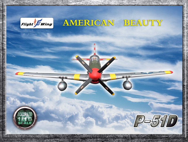 Flight Wing 1/18 P51D P51 战斗机飞机模型(2个颜色)(图2)