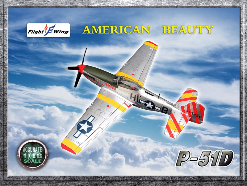Flight Wing 1/18 P51D P51 战斗机飞机模型(2个颜色)(图5)