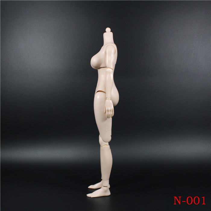 1/6 N001-4 多款 BODY 女素体 2019年3月新货物(图24)