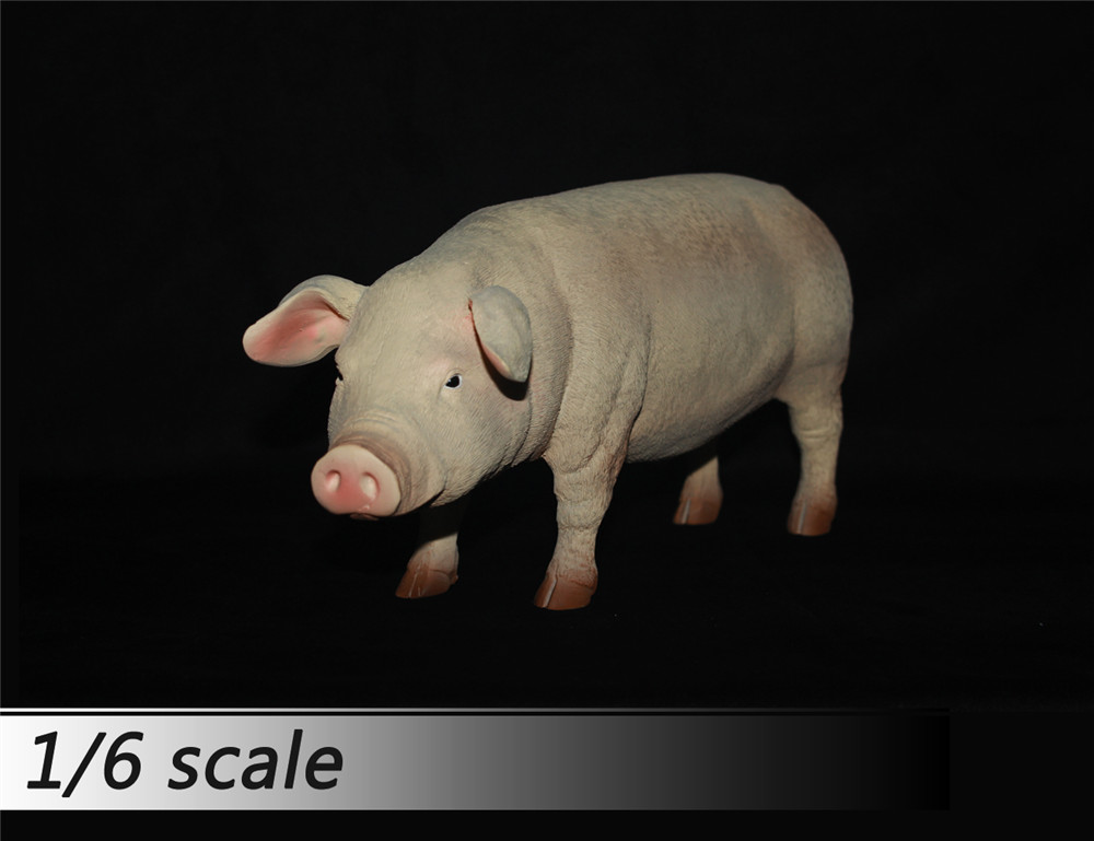 1/6 比例 猪 模型 多颜色(图6)