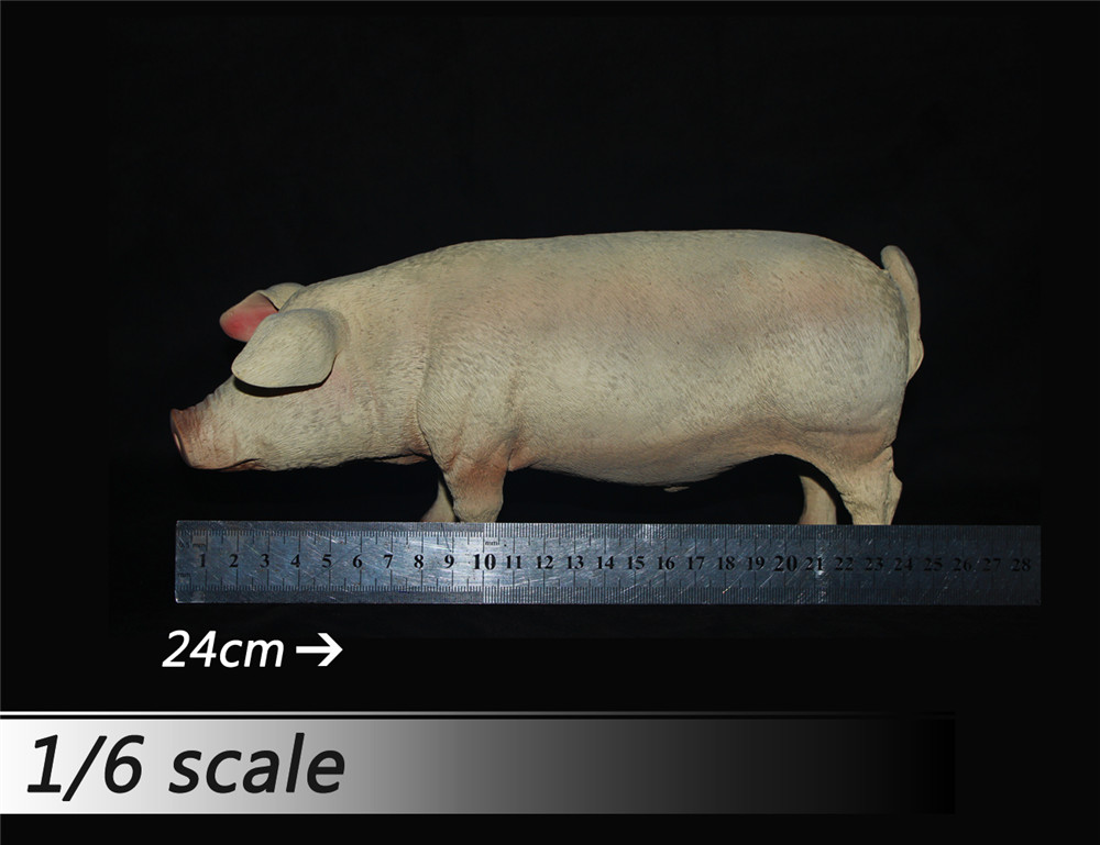 1/6 比例 猪 模型 多颜色(图2)