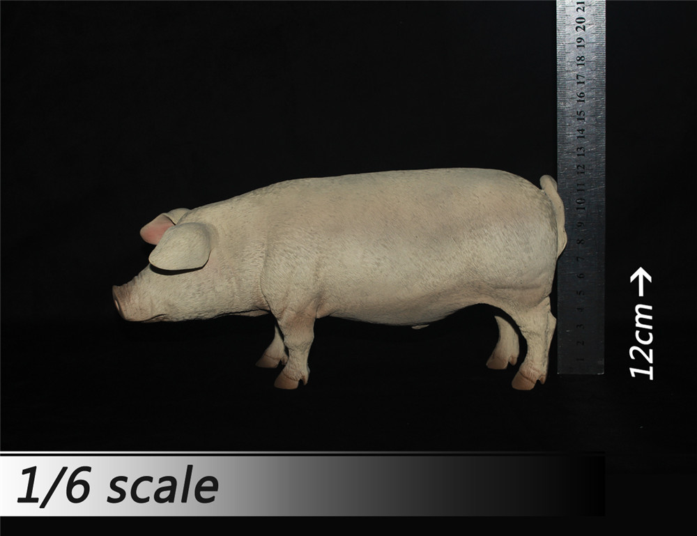 1/6 比例 猪 模型 多颜色(图1)