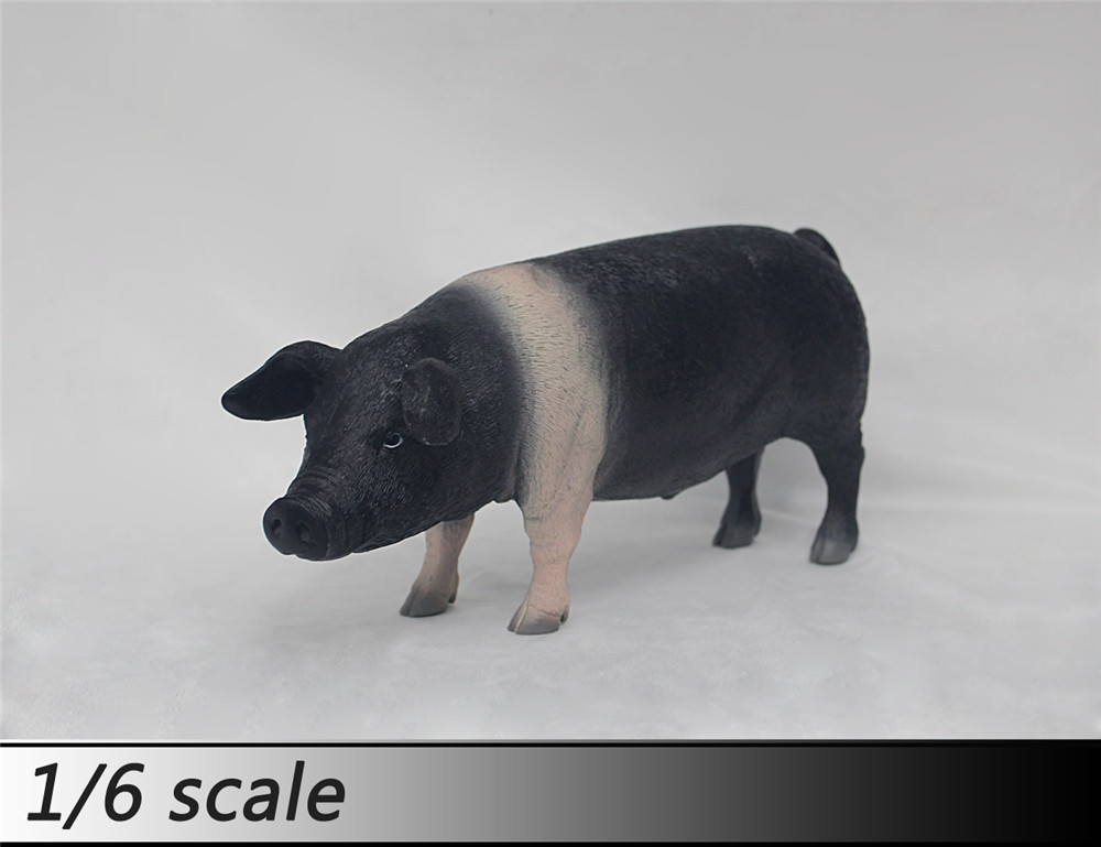 1/6 比例 猪 模型 多颜色(图9)