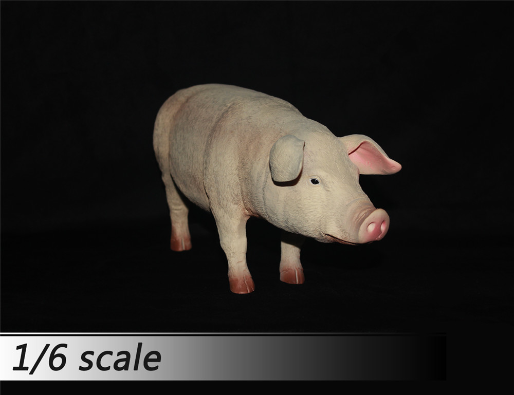 1/6 比例 猪 模型 多颜色(图5)
