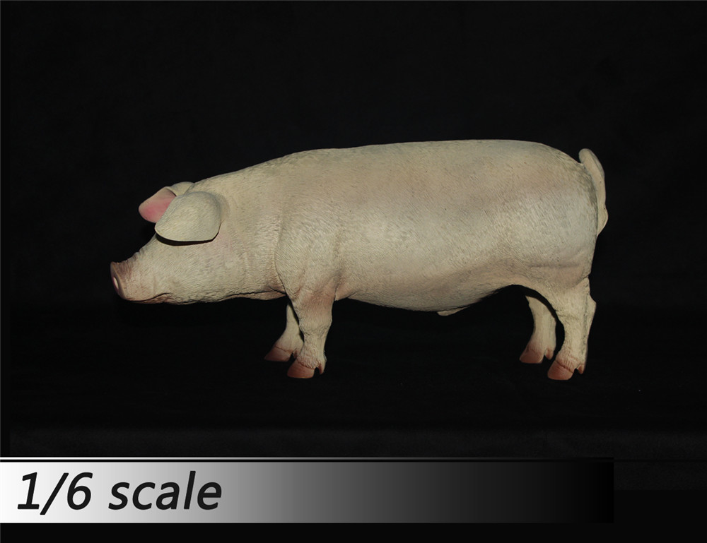 1/6 比例 猪 模型 多颜色(图3)