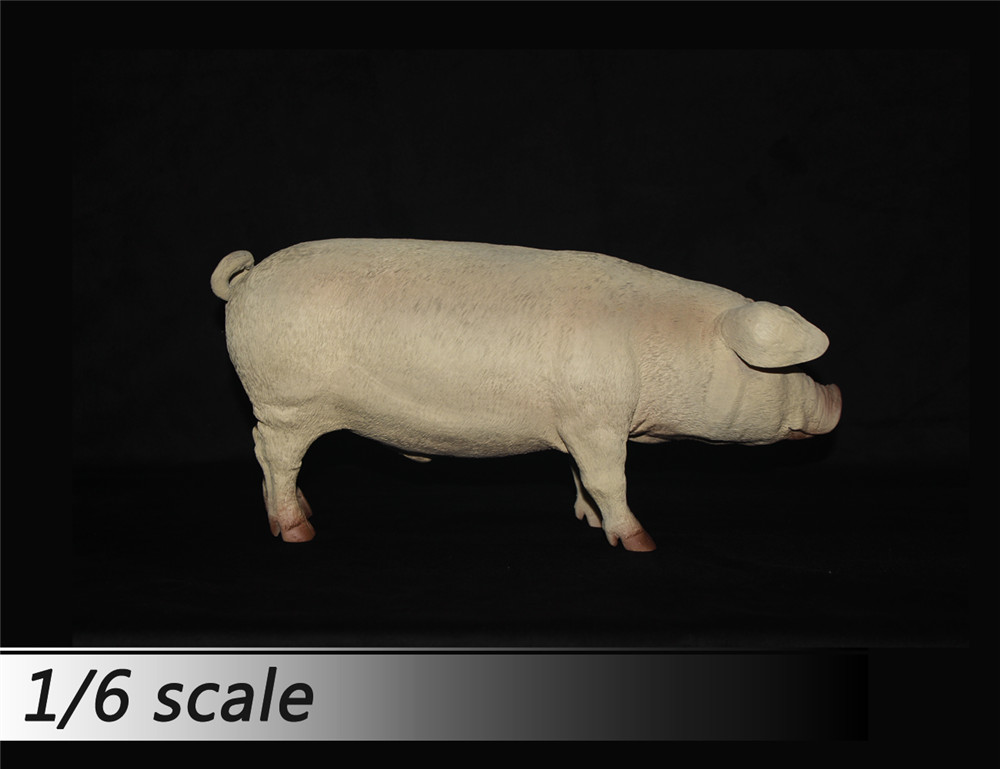 1/6 比例 猪 模型 多颜色(图4)