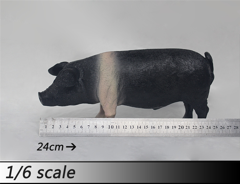 1/6 比例 猪 模型 多颜色(图7)